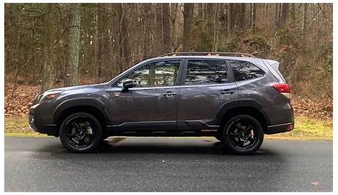 Into the Wilderness: Driving a 2022 Subaru Forester – Auto Trends Magazine