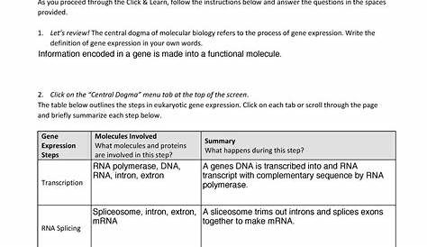 Central dogma - PROCEDURE As you proceed through the Click & Learn