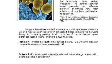 Estimating Maximum Cell Sizes Worksheet for 11th - 12th Grade | Lesson