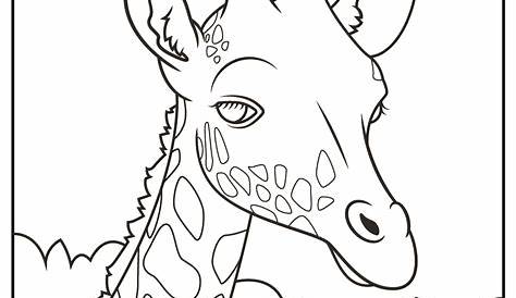 Printable Realistic Animals Coloring Pages (Updated 2021)