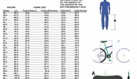 Motorcycle Seat Height Calculator