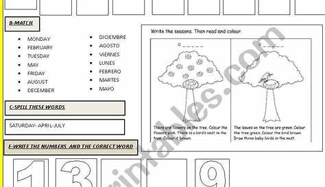 TEST 4TH GRADE - ESL worksheet by redcoquelicot
