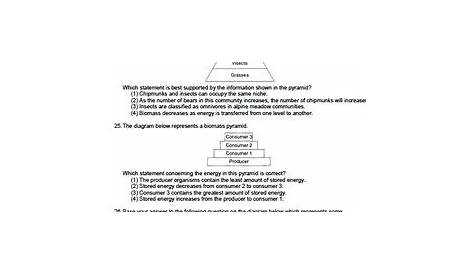 Worksheet - Energy Pyramid - Multiple Choice *EDITABLE* | TpT