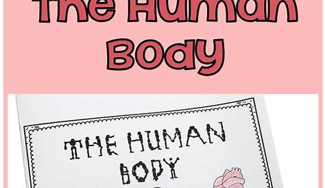 1St Grade Human Body Worksheet