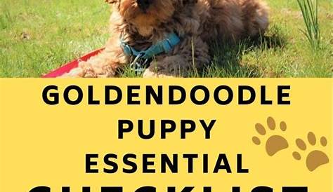 golden doodle puppy feeding chart