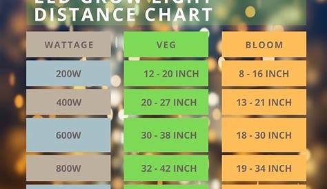 outdoor plant light requirements chart
