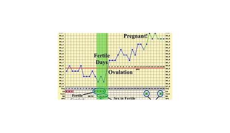 early pregnancy triphasic bbt chart