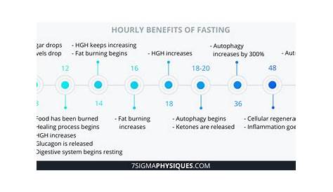 Stages of Fasting - What Happens When You Fast? - 7Sigma Physiques