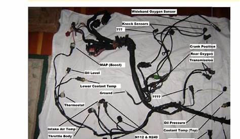 The 2003 Audi a4 1.8T Wiring Harness Explained.docx | Throttle