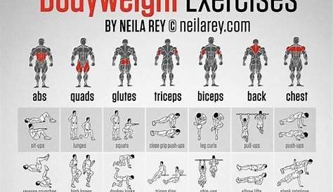weight training exercise chart
