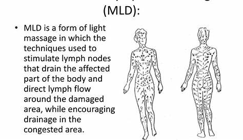 PPT - Manual Lymphatic Drainage PowerPoint Presentation - ID:2825894