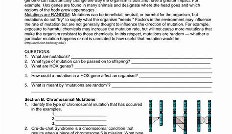 genetic mutation worksheets answer key