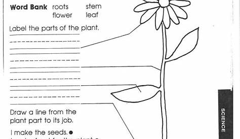 science 5th grade worksheets