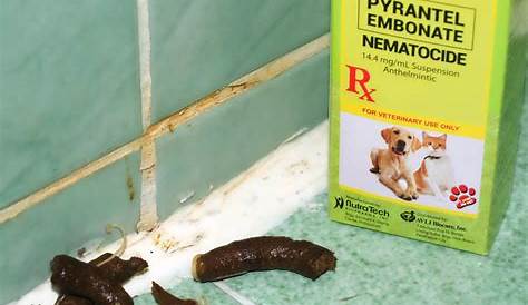 elanco tapeworm dewormer for cats dosage chart