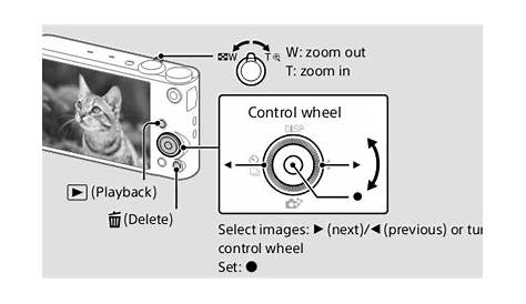 Download Sony Cyber-shot DSC-WX350 Digital Camera Instruction Manual