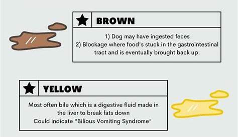 vomiting dog vomit color chart