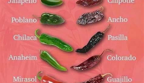Types of hot peppers 🌶 : r/coolguides