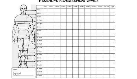 7 Best Printable Measurement Chart Weight Loss PDF for Free at Printablee