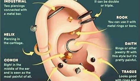 Pin by Psycho Ragdoll on Random | Ear piercings, Ear piercings chart