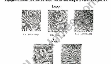 Fingerprints - ESL worksheet by jswallia