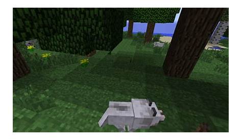 where do wolves spawn in minecraft