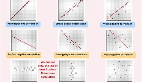 line of best fit worksheet