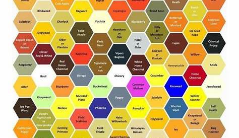 bee pollen chart | Bee keeping, Bee, Bee pollen