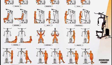 printable cable machine exercises chart
