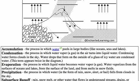 water cycle quiz worksheet