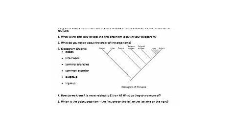 Cladograms Worksheet and Pr... by Brianna Jenkins | Teachers Pay Teachers