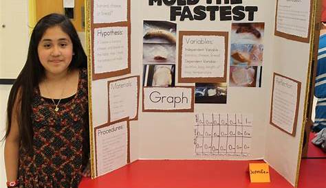science fair project ideas for 9th grade