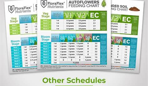 flora nova feeding chart