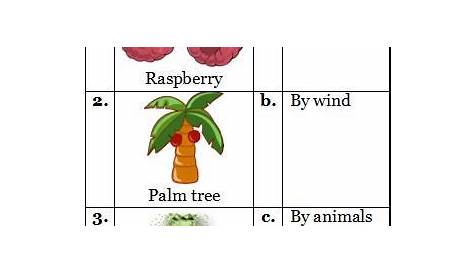 CBSE growing plants worksheets for grade 5 science