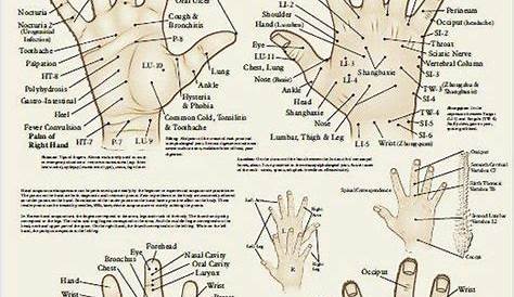 hand chart for acupressure