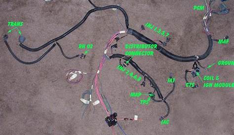 lt1 wire harness diagram
