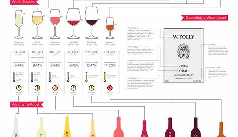 Beginners Guide to Wine