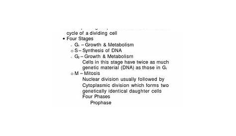 mitosis sequencing worksheet 39 answers