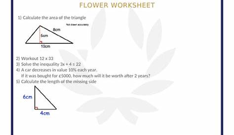 FLOWER WORKSHEET 25 | Teaching Resources