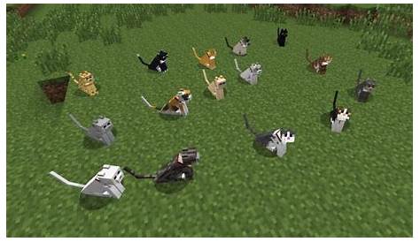 Minecraft - Como domar um gato no jogo - Critical Hits