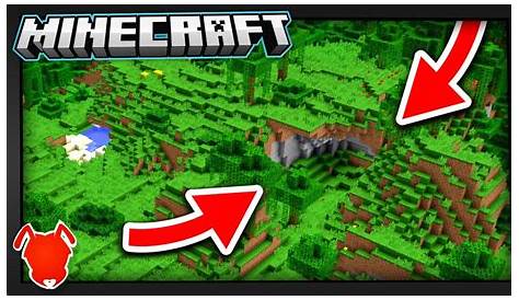 THIS is the RAREST BIOME in MINECRAFT?! - YouTube