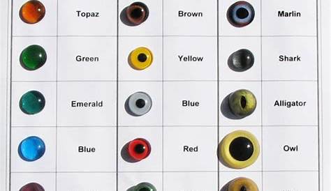 identification animal eye shine chart