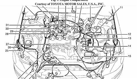 2006 Toyota Sienna Engine Diagram