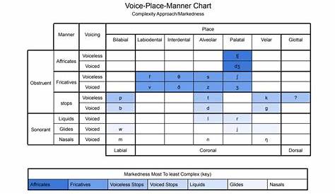 voice place manner chart