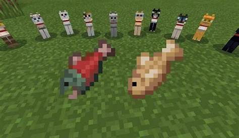 What do cats eat in Minecraft 1.19 update?