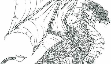 Realistic Dragon Coloring Pages | K5 Worksheets