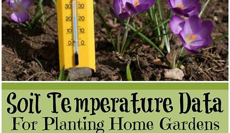 Soil Temperature Data for Planting Home Gardens | Farm Fit Living