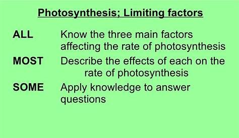what is a limiting factor biology gcse