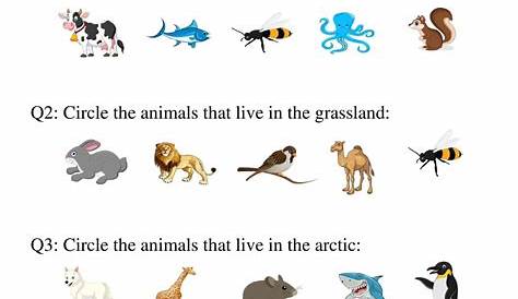 Animal Habitats Worksheets for Grade 1-9