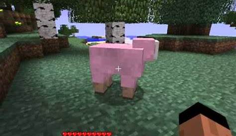 Rare Pink Sheep find in minecraft - YouTube