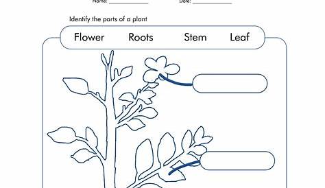 50 best ideas for coloring | Empty Flower Label Worksheet